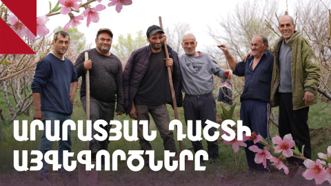 Բուրաստան, Քաղցրաշեն. այգեգործները պատրաստվում են լավ բերքի