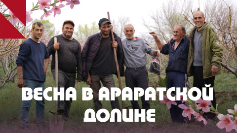 Араратская долина в цвету