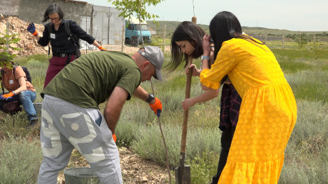 Armenia Tree Project: 30 лет и 9 000 000 деревьев 