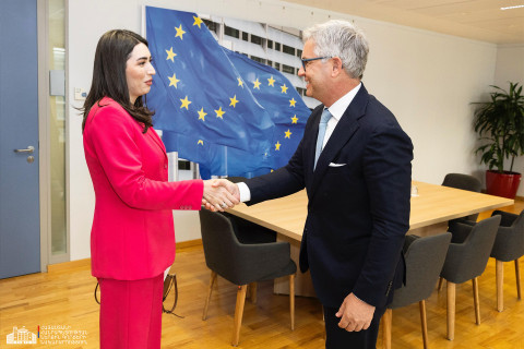 ԵՄ վիզաների ազատականացման գործողությունների ծրագիրը շուտով կփոխանցվի Հայաստանին