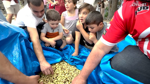Goris Mulberry Festival blends flavor with festivities