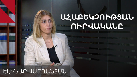 Ահաբեկչության գործը հորինված է, սա ակտիվ քաղաքական օջախները մարելու փորձ է․ Էլինար Վարդանյան