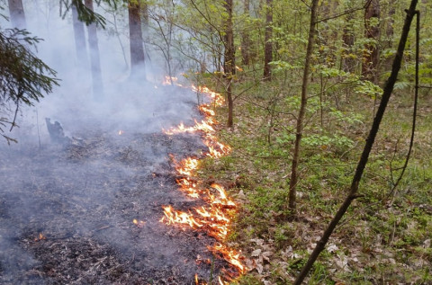 Uncontained wildfires in Karabakh put Armenian heritage at risk