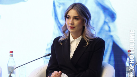 Armenian justice minister leaves Independence Declaration to Council vote