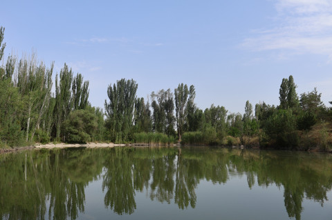«Ջրվեժ» անտառպարկ․ բարձր եկամուտներ և անբարեկարգ վիճակ