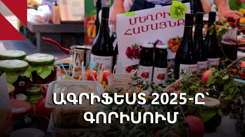 Ագրիֆեստ 2025․ Սյունիքի բիզնեսների բազմաշերտ տոնավաճառը