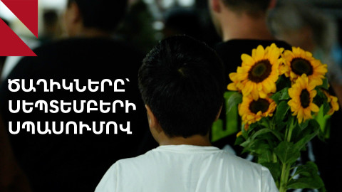Ծաղկային իրարանցում՝ սեպտեբերի 1-ի նախօրեին