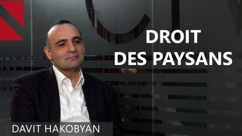 Droits des paysans: A quelles difficultés fait  face le monde rural arménien? 