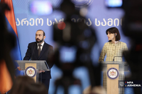 Հայաստանն ու Վրաստանը քաղաքական փոխըմբռնում ունեն գործարարների խնդրի վերաբերյալ. Միրզոյան