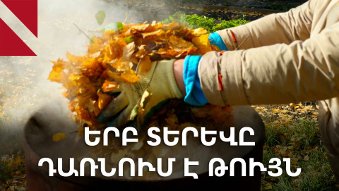 Աշնան թունավոր ծուխը. տերևների այրման տխուր հետևանքները