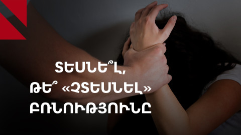 Ահազանգե՞լ, թե՞ ահից չզանգել. ինչ անել բռնություն տեսնելիս