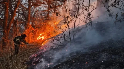 Հրդեհների բոլոր օջախները մարվել են. ՆԳՆ
