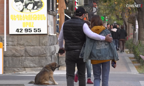 Controversial animal welfare bill alarms Armenian activists