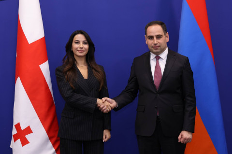 Հայաստանը կարևորում է դեպի Վրաստան նոր օդային էլեկտրահաղորդման գծի կառուցումը. նախարար