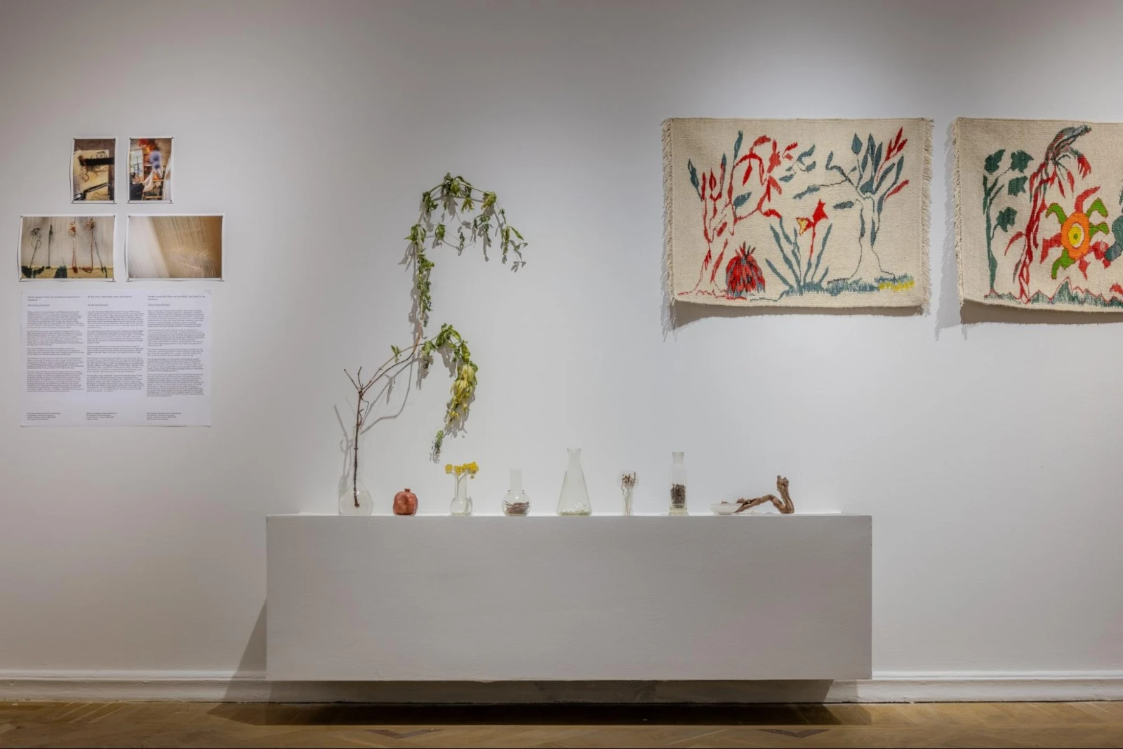 Natural dyeing elements (Photo: Daniil Primak / AHA collective)