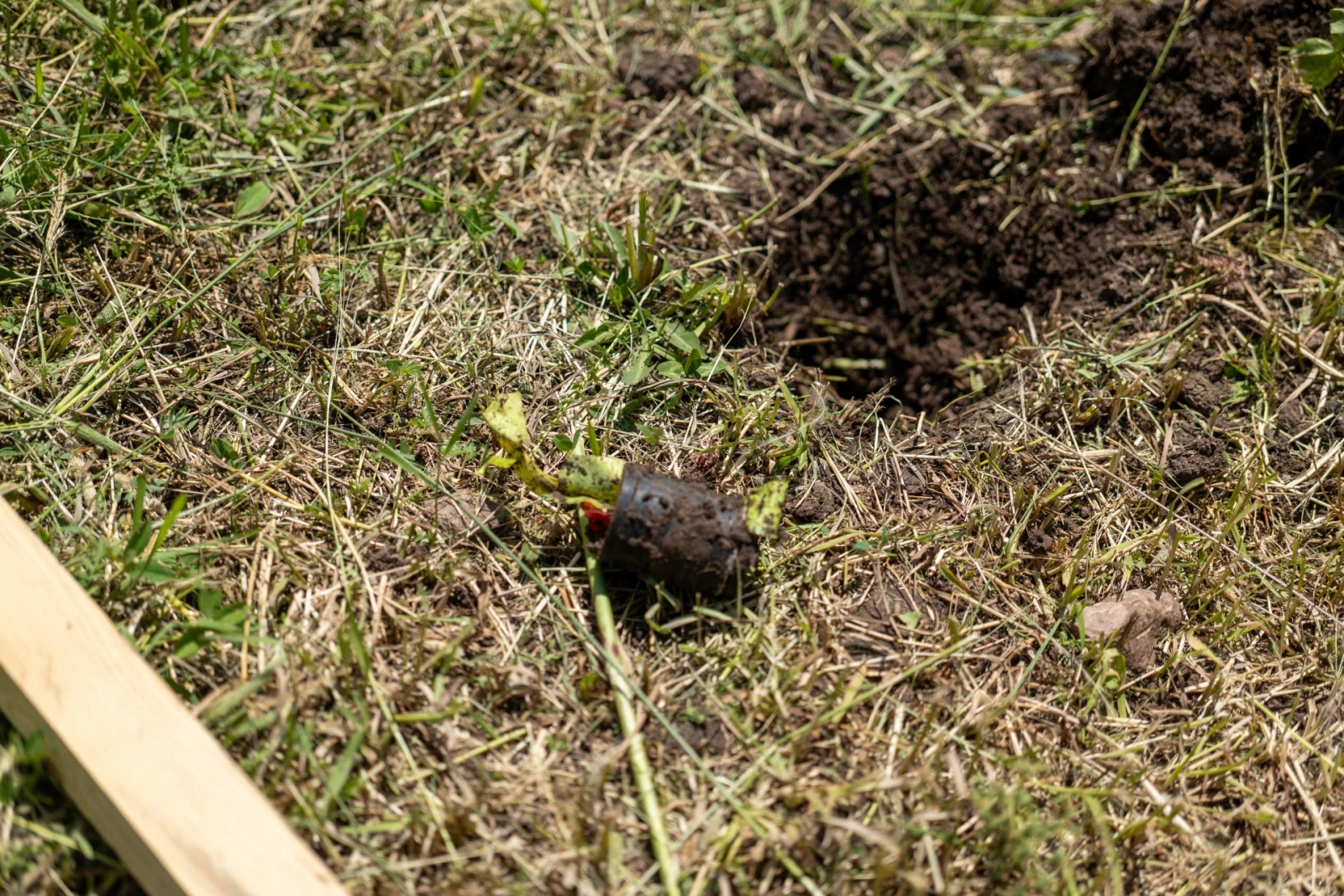 An explosive remnant  
