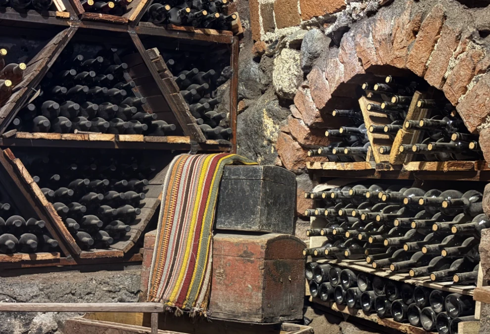 Wine bottles in the cellar.