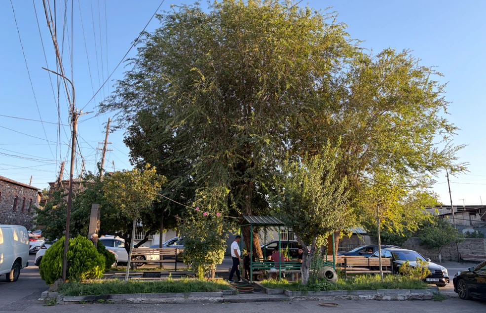 The square where Nork's Chinar Tree once stood. The tree died almost a century ago but the square remains a local gathering spot.