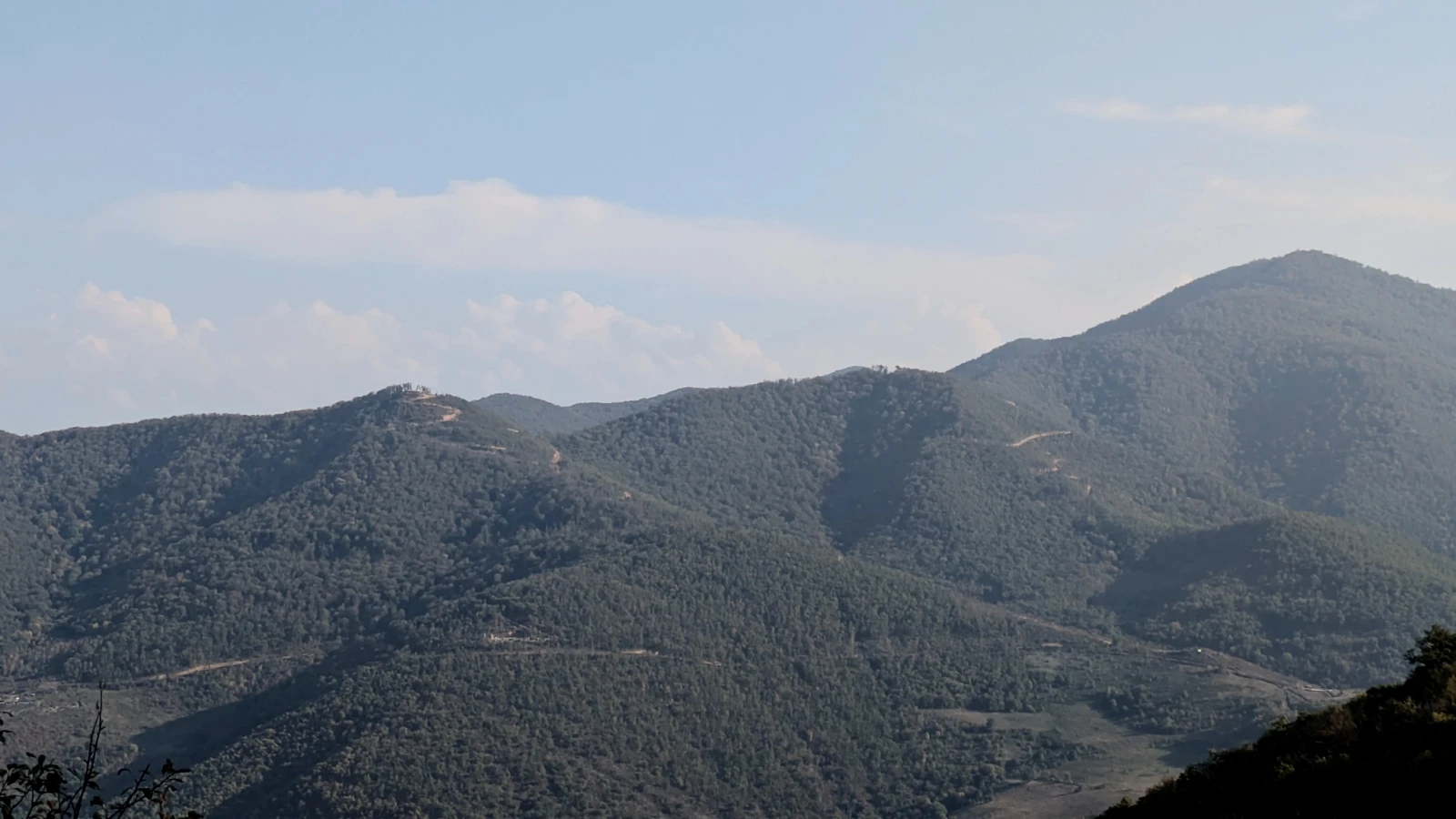 Roads and military outposts built in the formerly untouched, ancient forest.